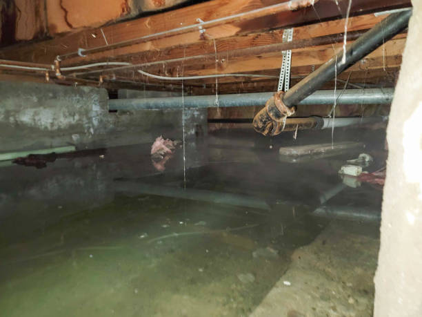  Cushing, OK Water damage restoration Pros