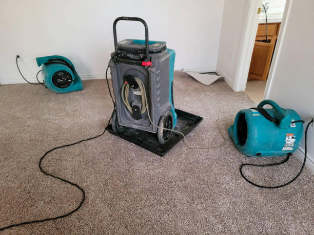 Best Water damage cleanup near me  in Cushing, OK